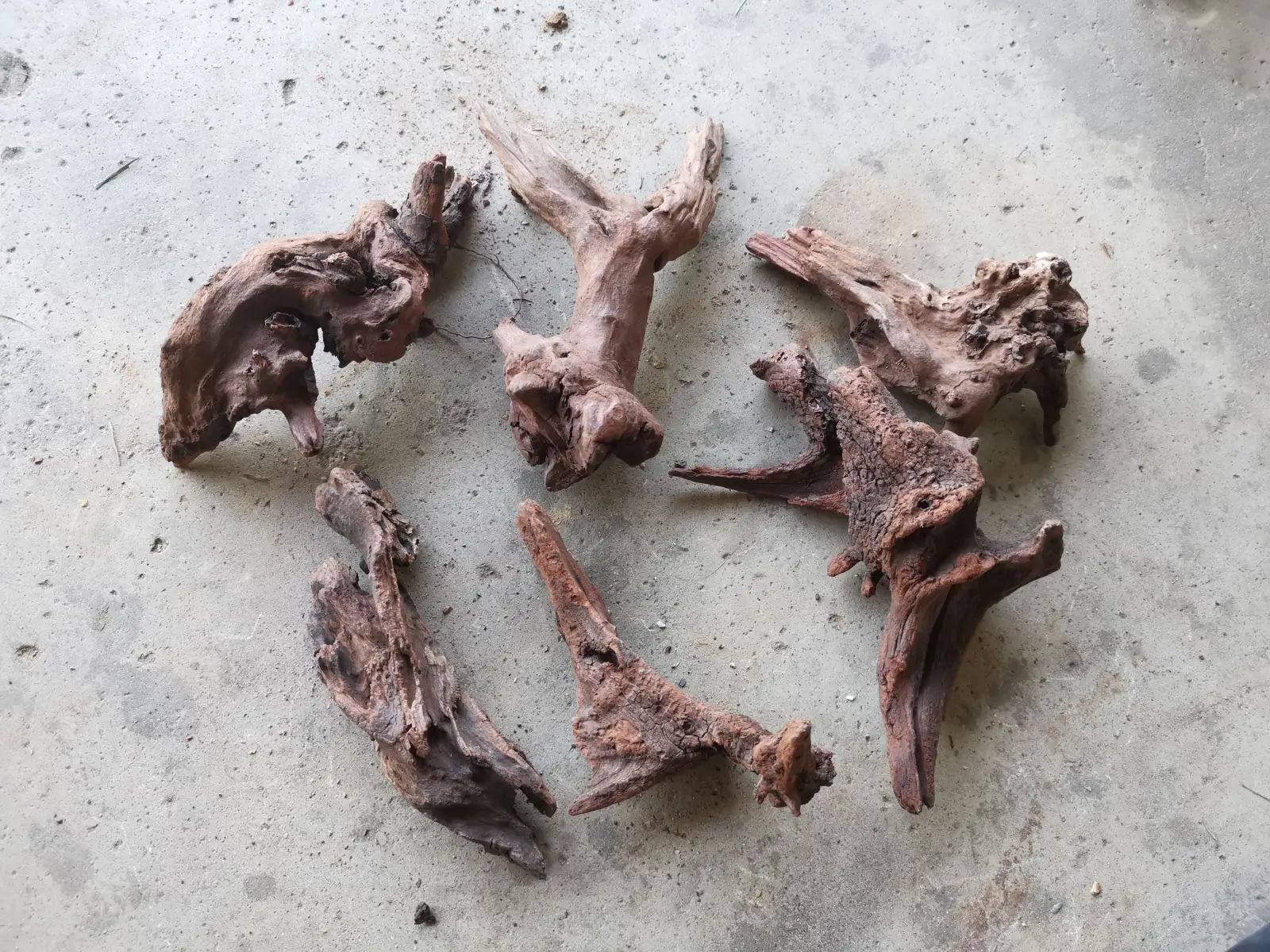 Small Driftwood Pieces - Image 2