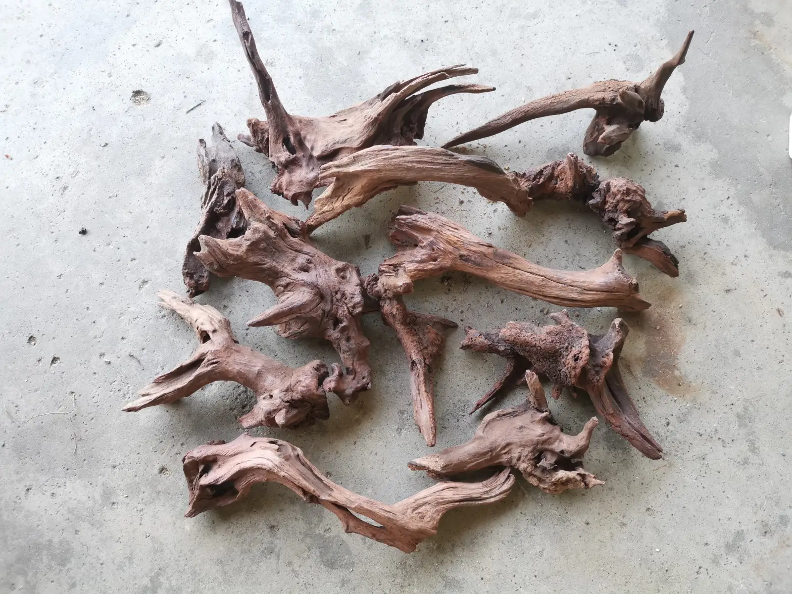 Small Driftwood Pieces - Image 3